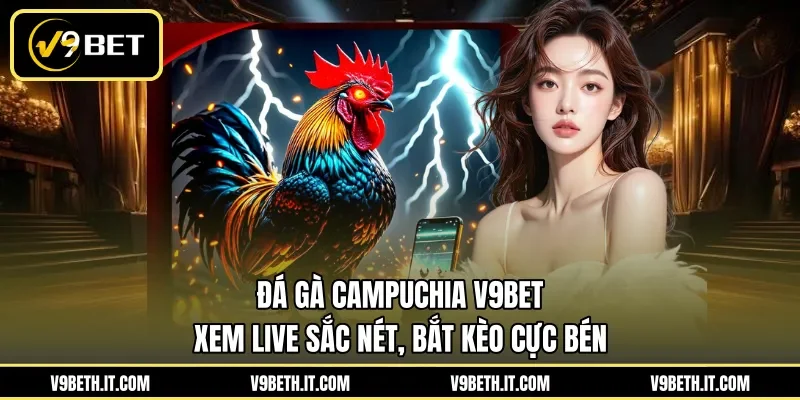Đá Gà Campuchia V9BET - Xem Live Sắc Nét, Bắt Kèo Cực Bén