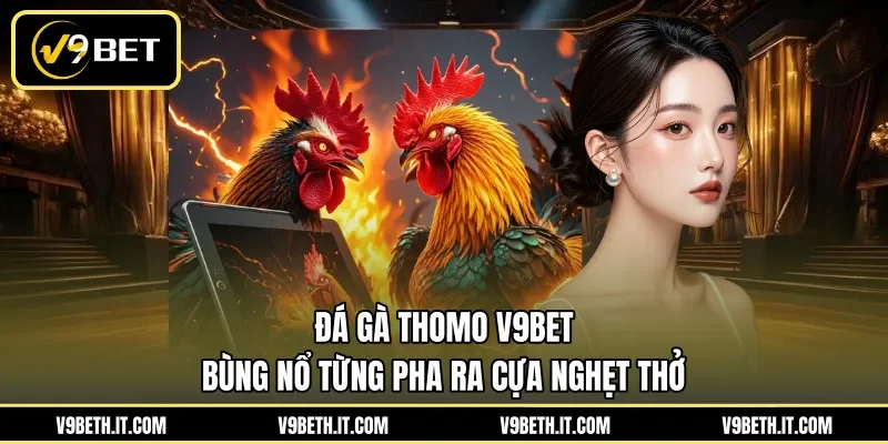 Đá Gà Thomo V9BET - Bùng Nổ Từng Pha Ra Cựa Nghẹt Thở
