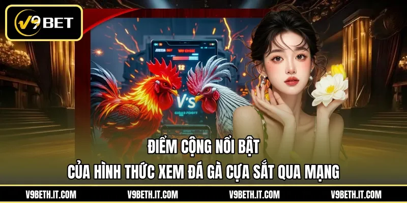 Điểm cộng nổi bật của hình thức xem đá gà cựa sắt qua mạng