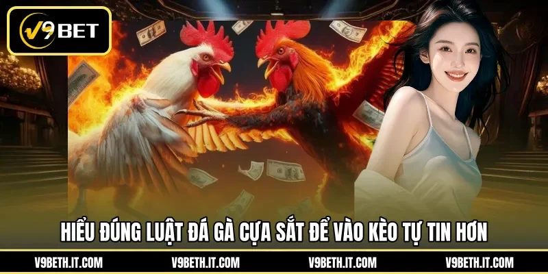 Hiểu đúng luật đá gà cựa sắt để vào kèo tự tin hơn