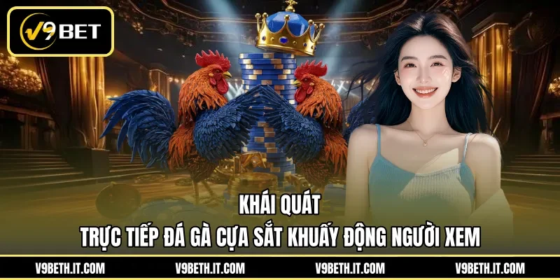 Khái quát trực tiếp đá gà cựa sắt khuấy động người xem