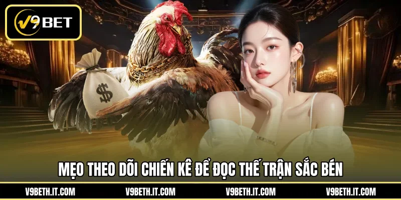 Mẹo theo dõi chiến kê để đọc thế trận sắc bén