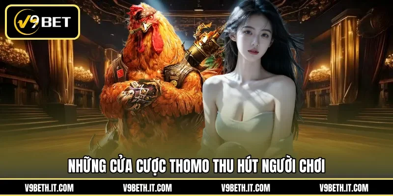 Những cửa cược Thomo thu hút người chơi