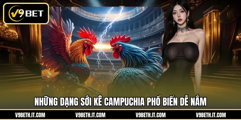 Những dạng sới kê Campuchia phổ biến dễ nắm