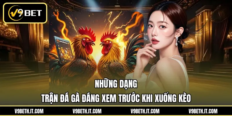 Những dạng trận đá gà đáng xem trước khi xuống kèo 