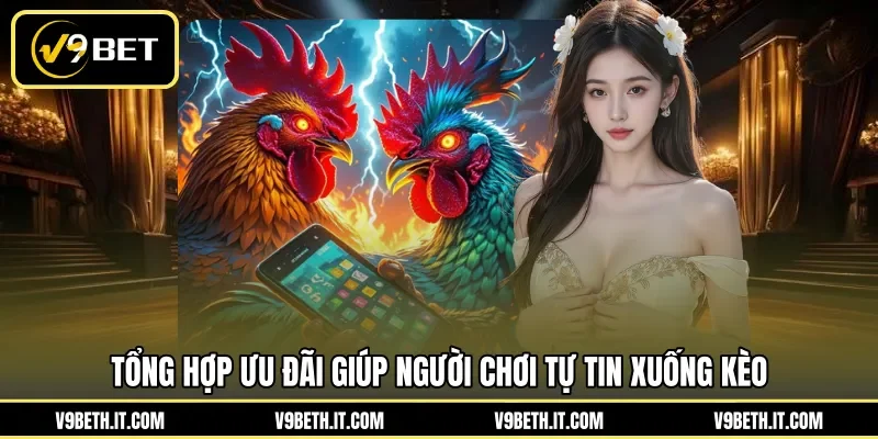 Tổng hợp ưu đãi giúp người chơi tự tin xuống kèo 