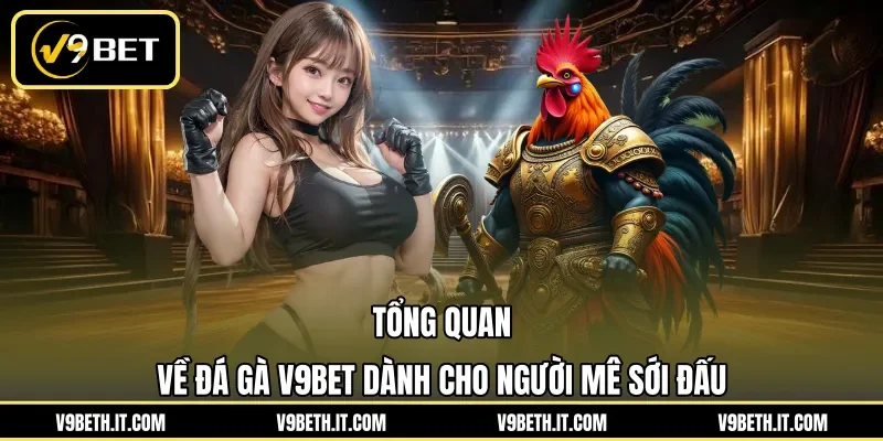 Tổng quan về đá gà V9BET dành cho người mê sới đấu 
