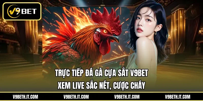 Trực Tiếp Đá Gà Cựa Sắt V9BET - Xem Live Sắc Nét, Cược Cháy